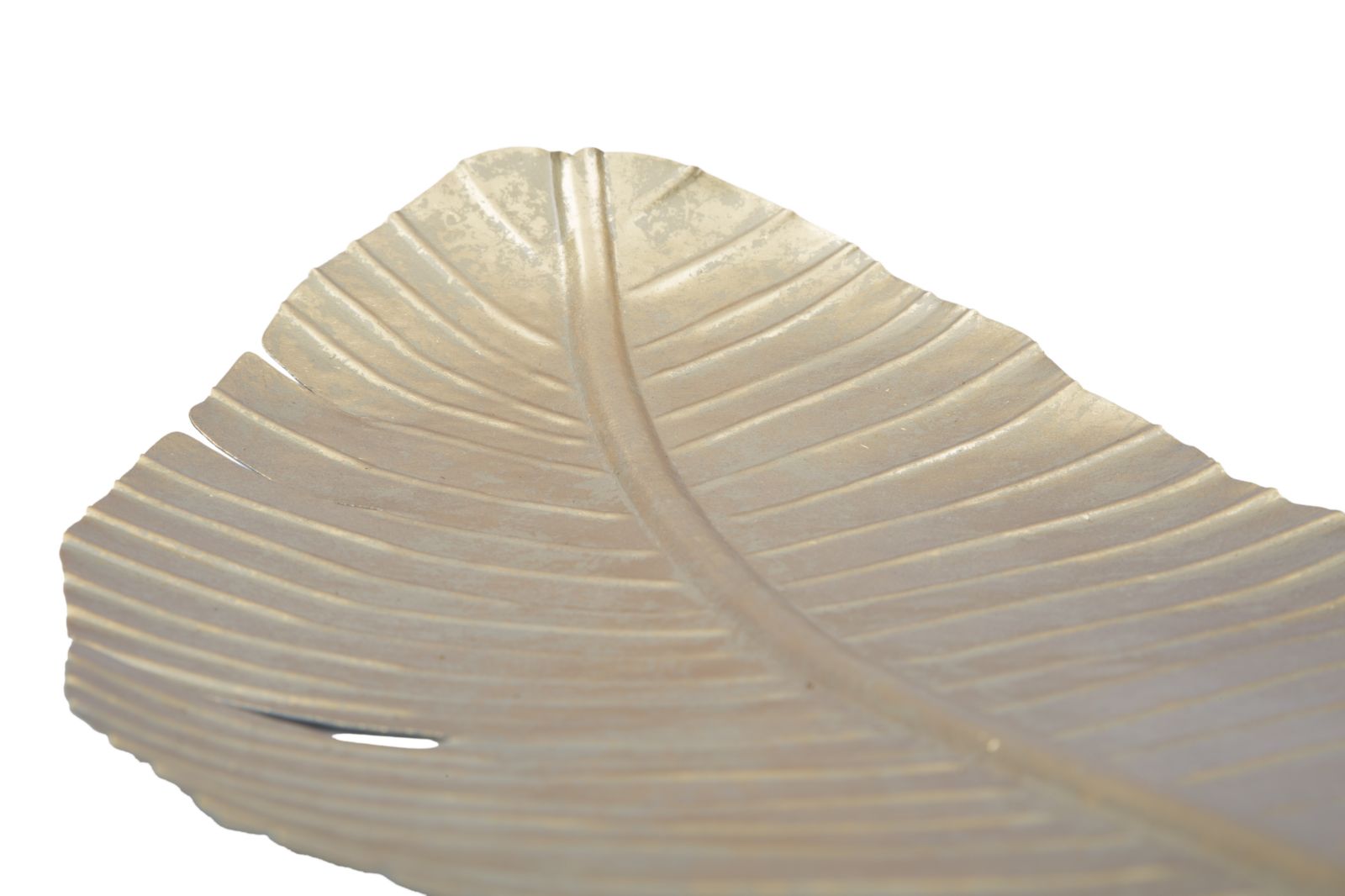 DECOR LEAF GLAM -B-CM 18X2X55 