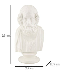 Estatua Busto Sabio Blanco