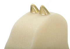 Cheval teintes claires