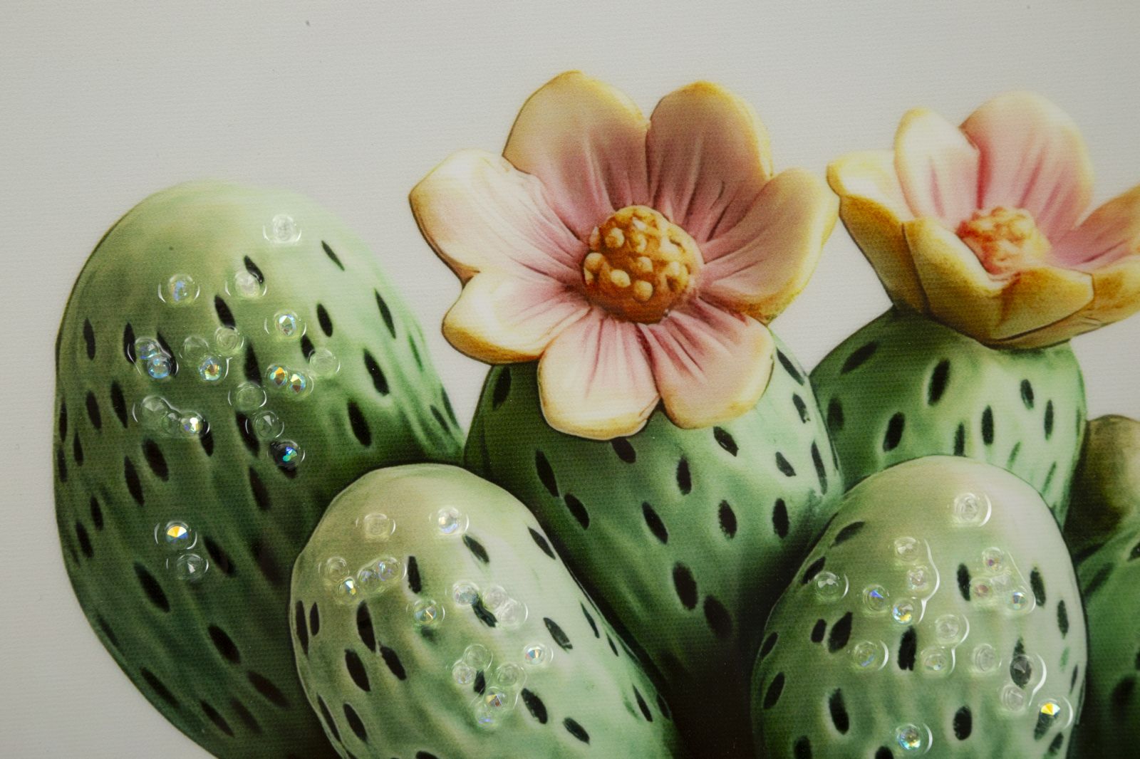 LACQUERED CANVAS PRINT WITH FRAME CACTUS JAR -H- CM 40X2,8X40