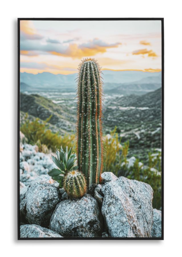 LACQUERED CANVAS PRINT WITH FRAME CACTUS -H- CM 60X4X90_x000D_
