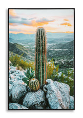 LACQUERED CANVAS PRINT WITH FRAME CACTUS -H- CM 60X4X90_x000D_
