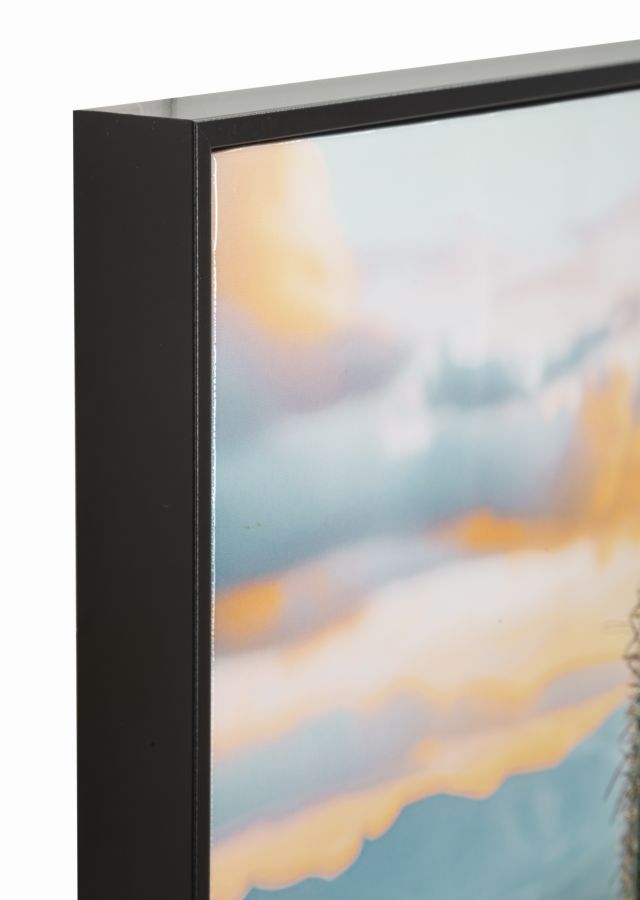 LACQUERED CANVAS PRINT WITH FRAME CACTUS -H- CM 60X4X90_x000D_
