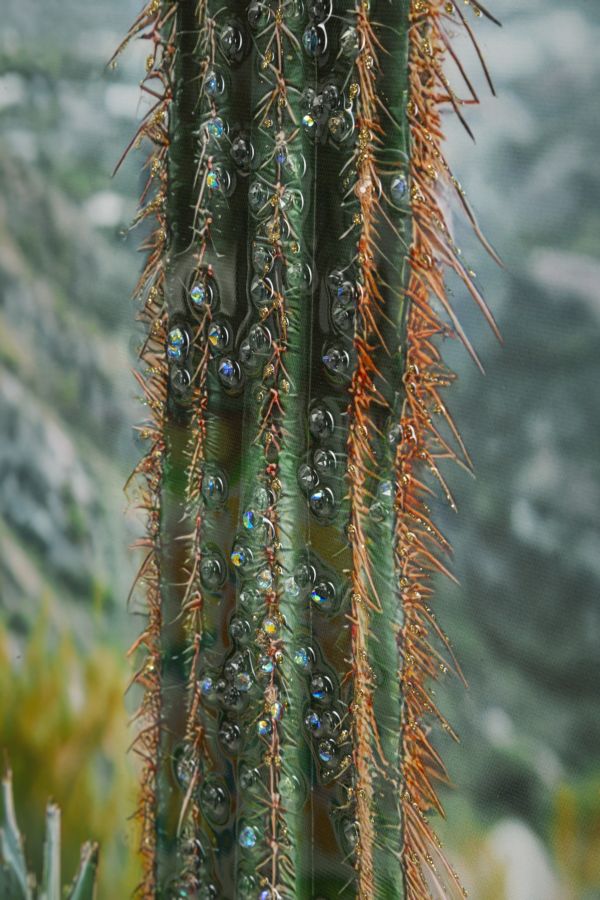 LACQUERED CANVAS PRINT WITH FRAME CACTUS -H- CM 60X4X90_x000D_
