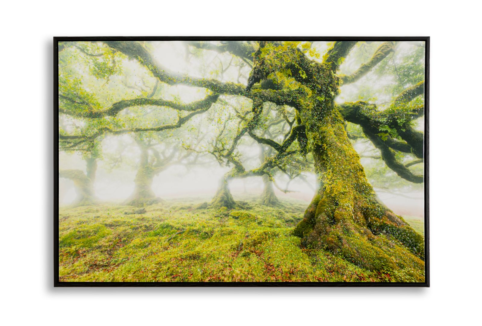 PRINT ON CANVAS LACQUERED WITH FRAME FOREST CM 90X4X60_x000D_
