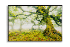 PRINT ON CANVAS LACQUERED WITH FRAME FOREST CM 90X4X60_x000D_
