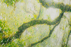 PRINT ON CANVAS LACQUERED WITH FRAME FOREST CM 90X4X60_x000D_
