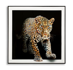 PAINTING ON CANVAS LACQUERED JAGUAR WITH FRAME -A- CM 82X4X82
