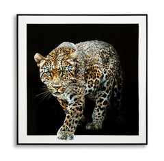 PAINTING ON CANVAS LACQUERED JAGUAR WITH FRAME -B- CM 82X4X82
