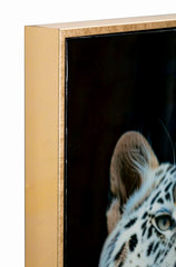MOIRA LACQUERED CANVAS WITH FRAME -A- CM 52X4X102
