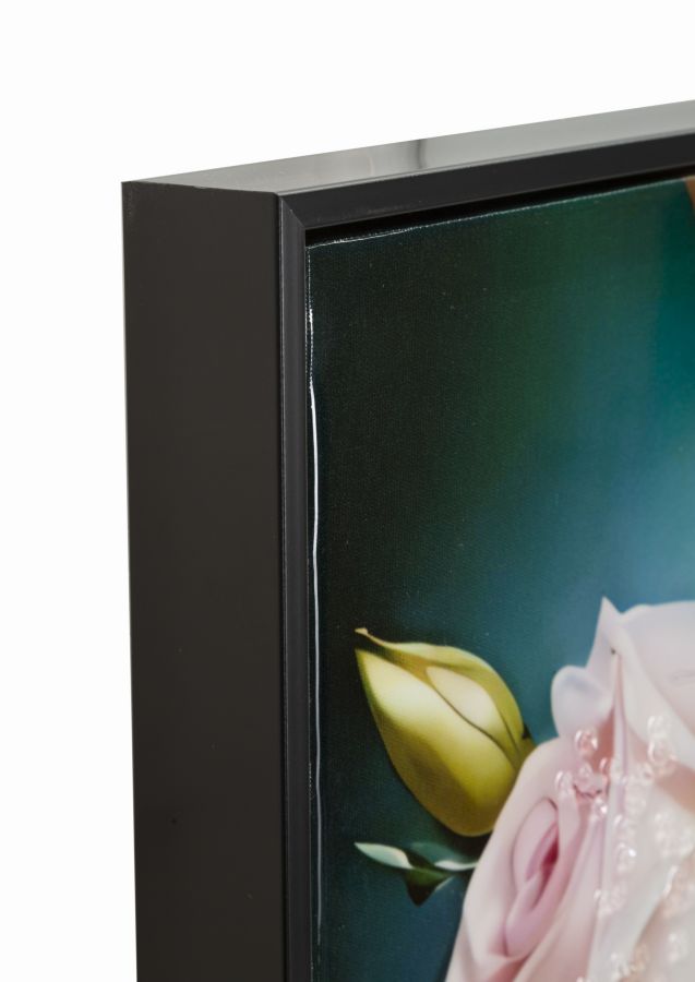 FANTASY LACQUERED CANVAS WITH FRAME -B- CM 72X4X102