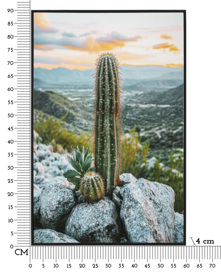 LACQUERED CANVAS PRINT WITH FRAME CACTUS -H- CM 60X4X90_x000D_
