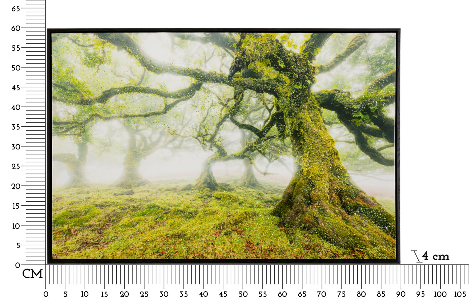 PRINT ON CANVAS LACQUERED WITH FRAME FOREST CM 90X4X60_x000D_
