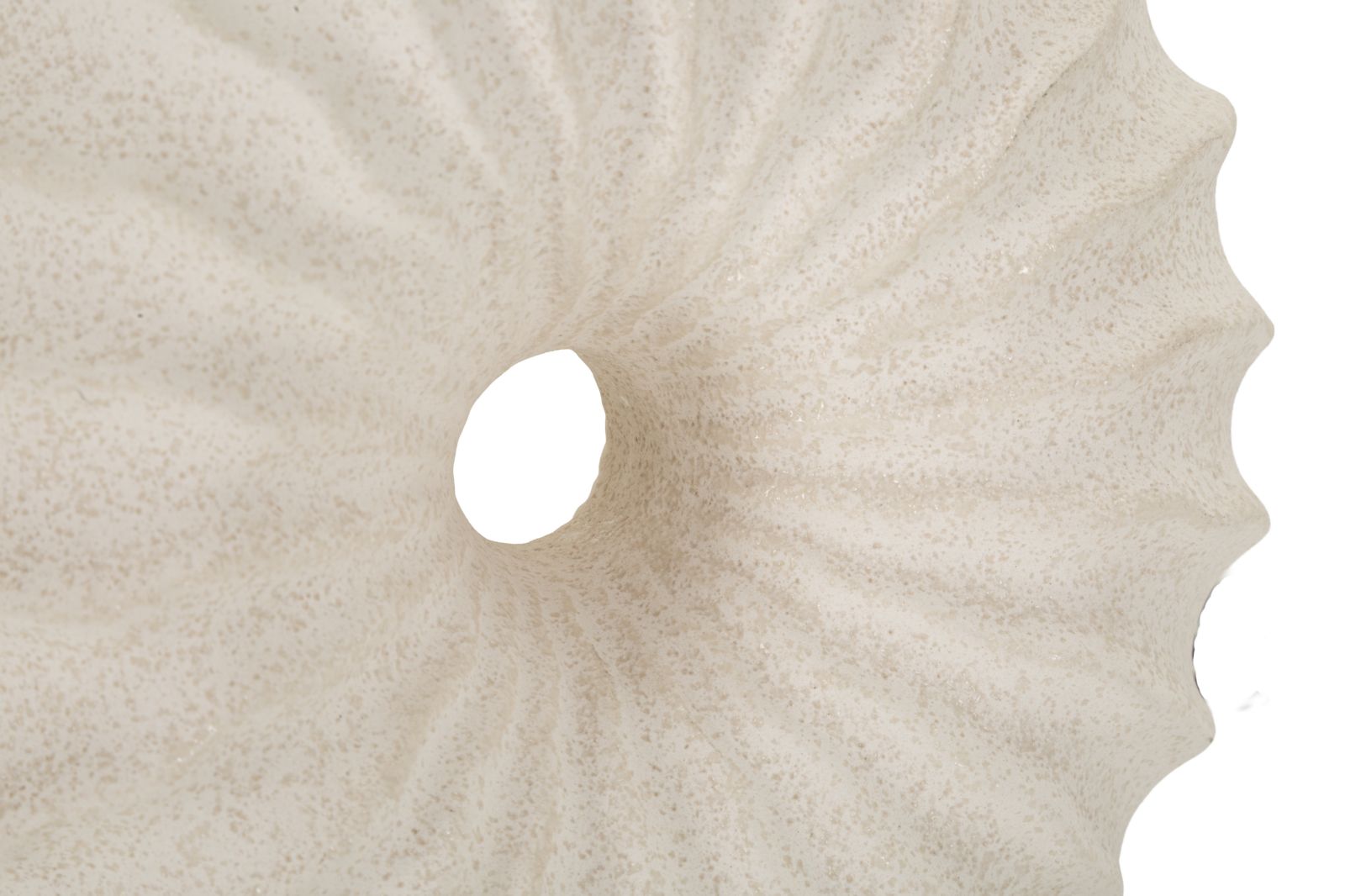 Anemone Table Lamp Cm 22X16X40