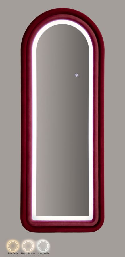 Wall Mirror with Irregular Frame and LED Lighting 60x160 cm